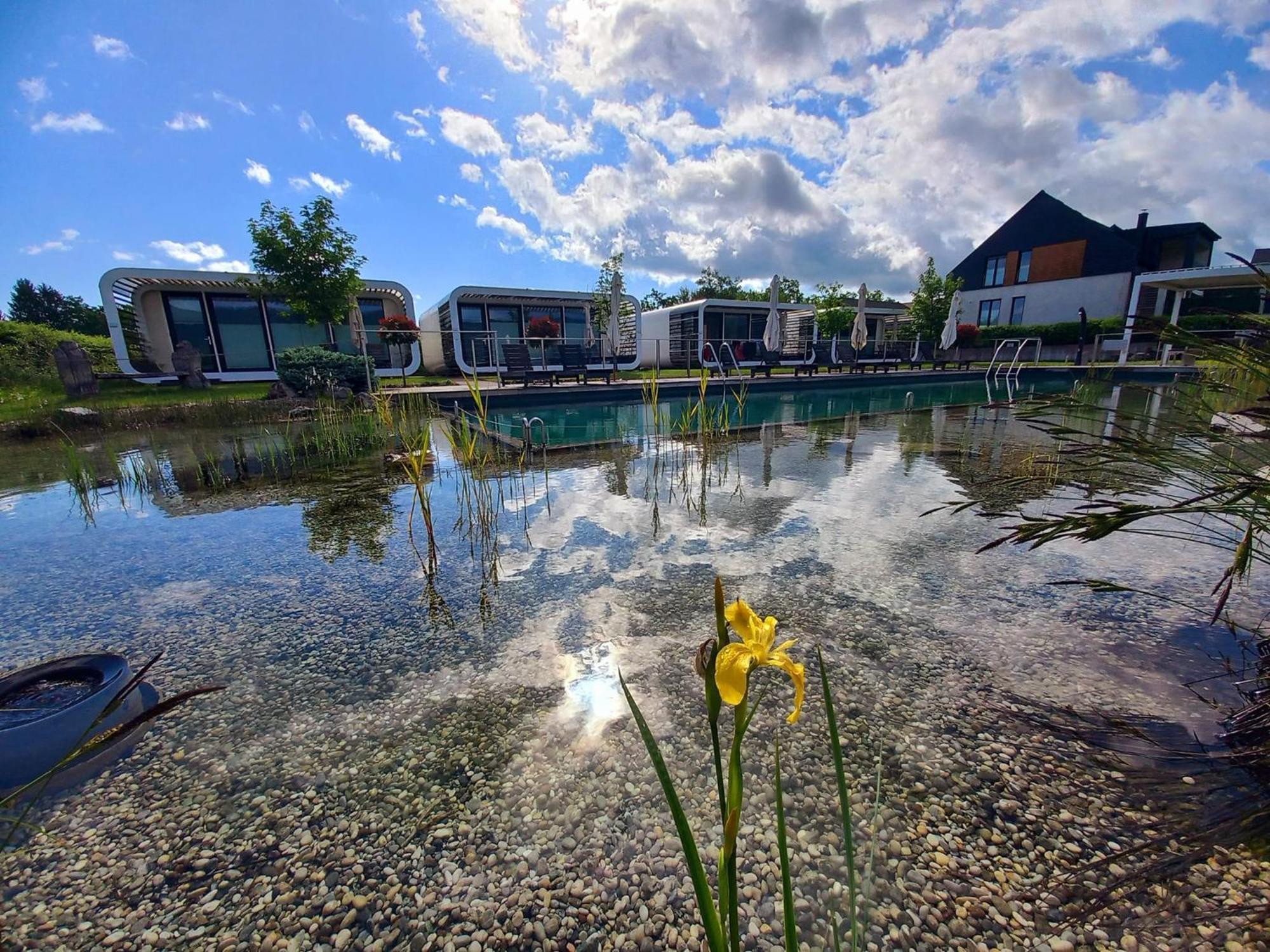 Glamping Maleric With Natural Pool Dragatuš Extérieur photo